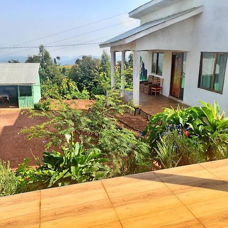 Ruhija Gorilla Guest House Kabale Buitenkant foto