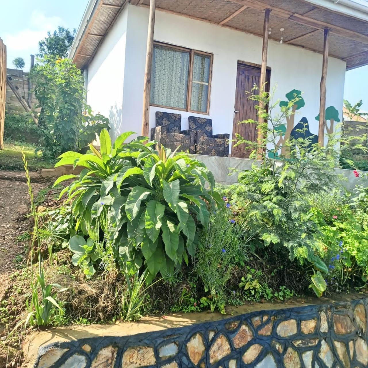 Ruhija Gorilla Guest House Kabale Buitenkant foto